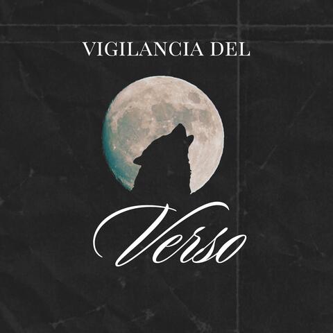 VIGILANCIA DEL VERSO
