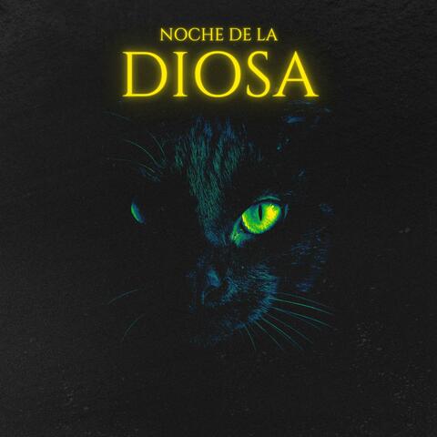 DIOSA DE LA NOCHE