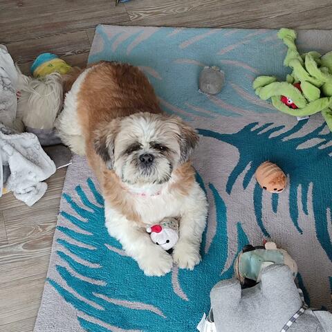 Butter wouldn't melt