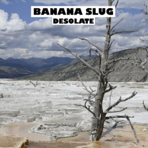 Desolate