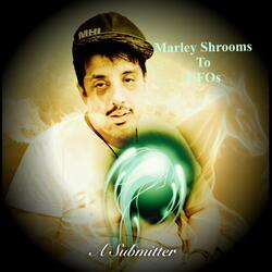 Mars Rock Shrooms to Ufos
