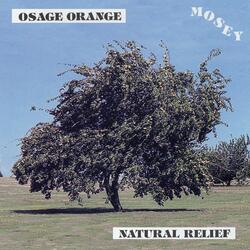 Osage Orange