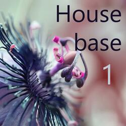 House base 1