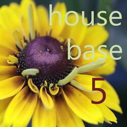 House Base 5