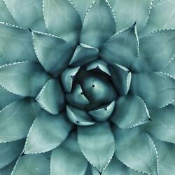 Ember Of The Ashen Lands