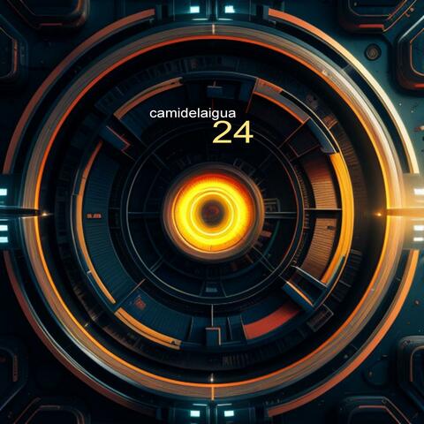 24