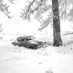 Black Ice