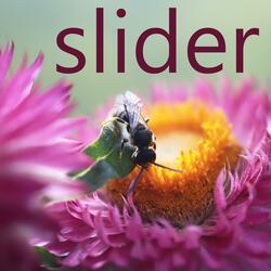 Slider