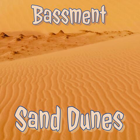 The Bassment