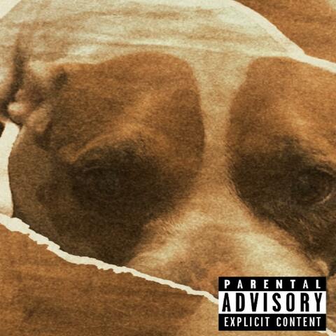 Dog Day Summer