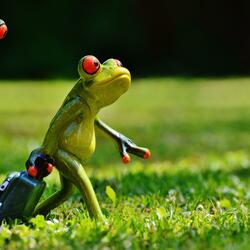 Stop Comparing yourself to others