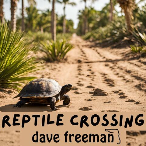 Reptile Crossing
