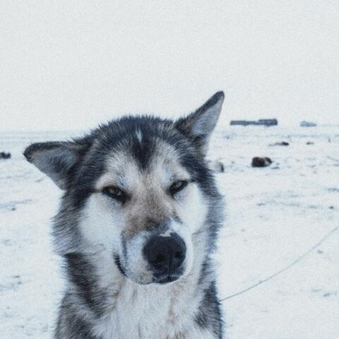 If i die, i won't be able to breathe the fresh air