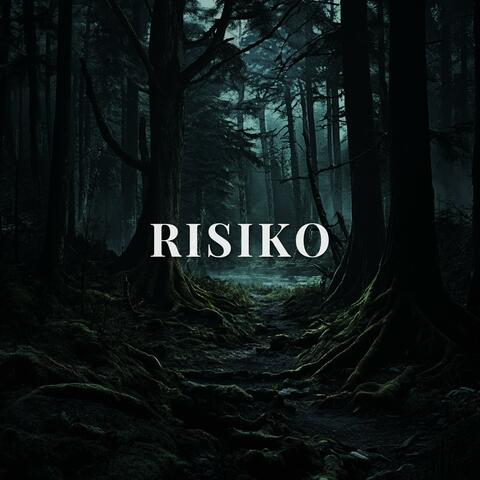 Risiko