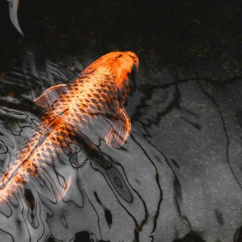 Drink deeply, and dream