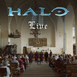 Halo Theme