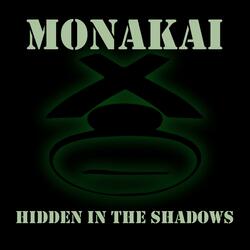 Hidden In The Shadows