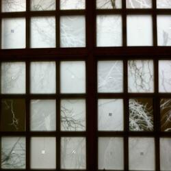 The Underside Of The Desk