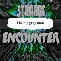 The big gray man
