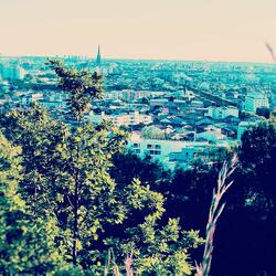 Pleasant Land