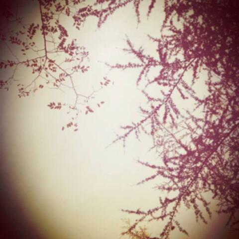 Under Spleen