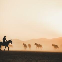 A Cowboy At Christmas