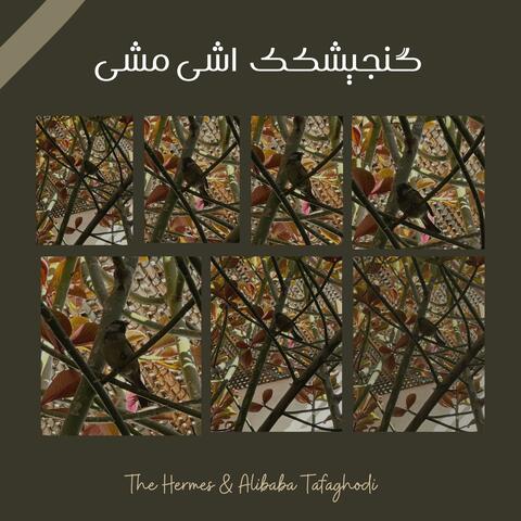 گنجیشکک اشی مشی