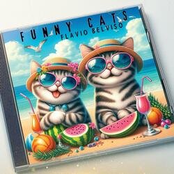 FUNNY CATS