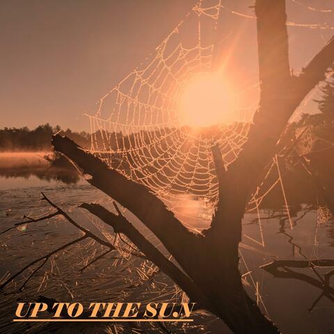 Up To The Sun