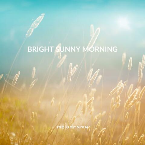 Bright Sunny Morning
