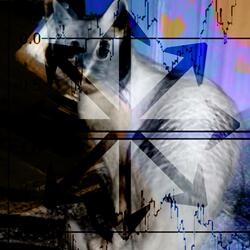 im shredding on the cat synth