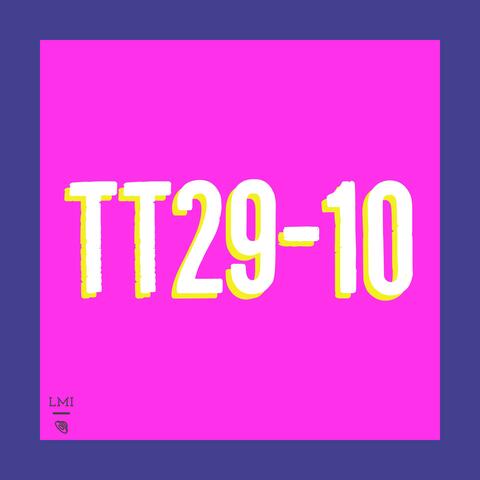 TT29-10.