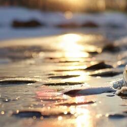 Melting Snow in The Morning