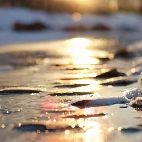 Melting Snow in The Morning