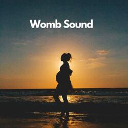 Womb Sound, Pt.7
