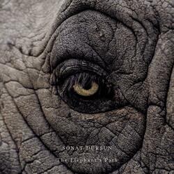 The Elephant's Path