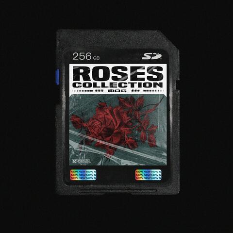 ROSES COLLECTION LOOP PACK