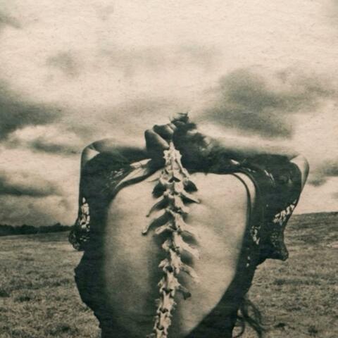 A Hole In My Mind