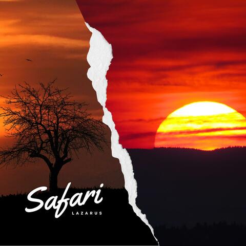 Safari