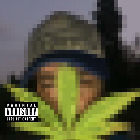 Cannabis