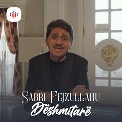 Dëshmitarë