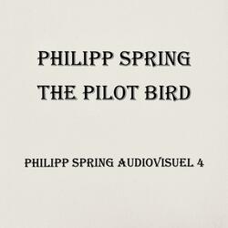 The pilot Bird