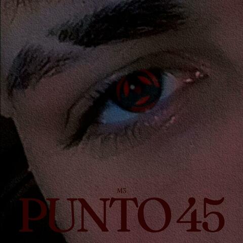 Punto 45