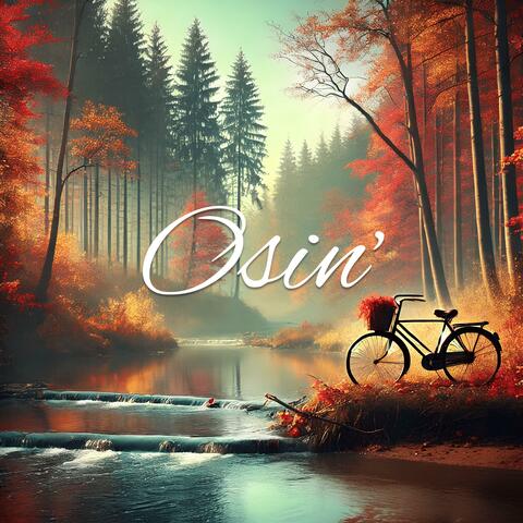 Osin'