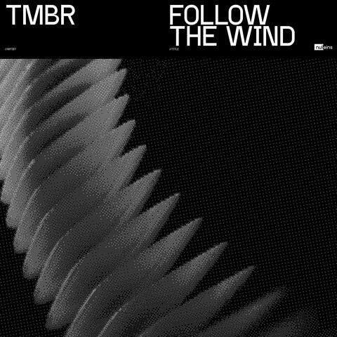 Follow the Wind