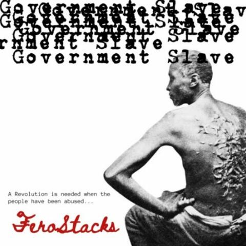 Government Slave
