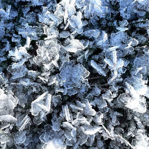 Blizzard
