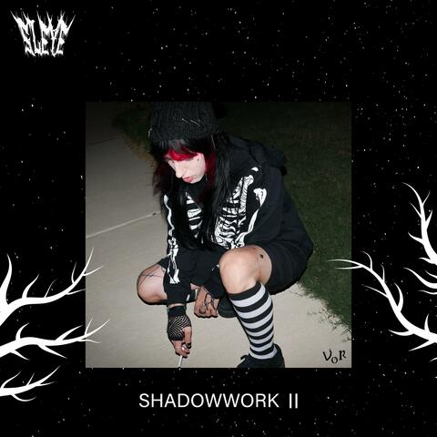 SHADOWWORK II