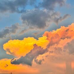 Sei come un'Overdose