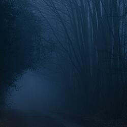 false memories - sped up